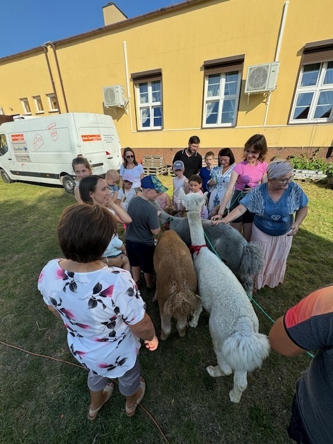 Festiwal Smaków Węglew