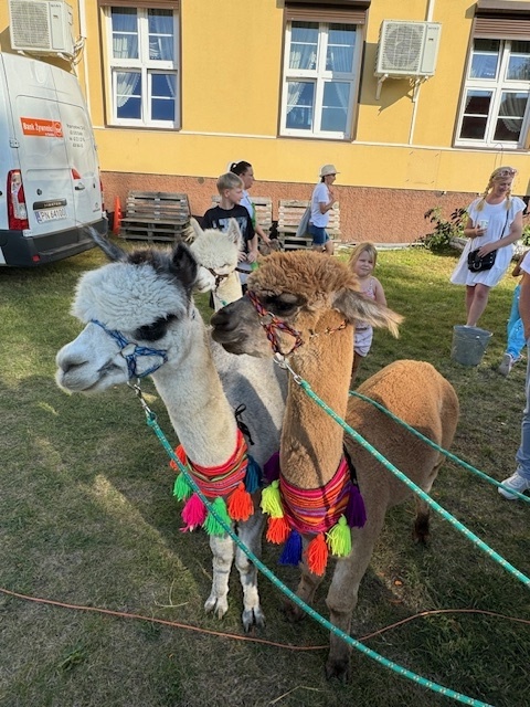 Festiwal Smaków Węglew