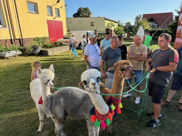 Festiwal Smaków Węglew