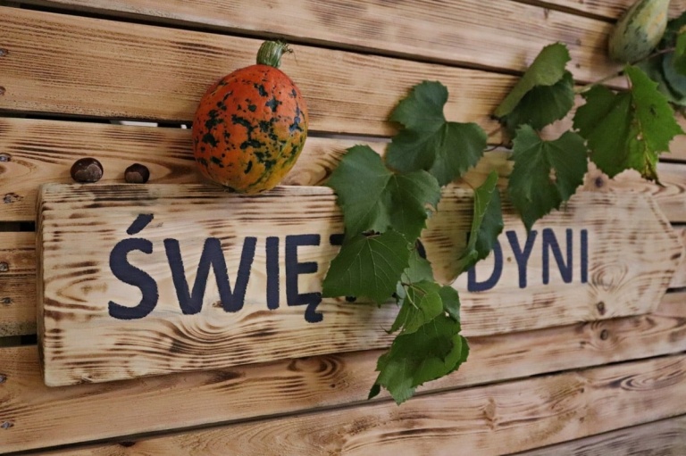 Podsumowanie VIII Festiwalu Dyni i Ziemniaka