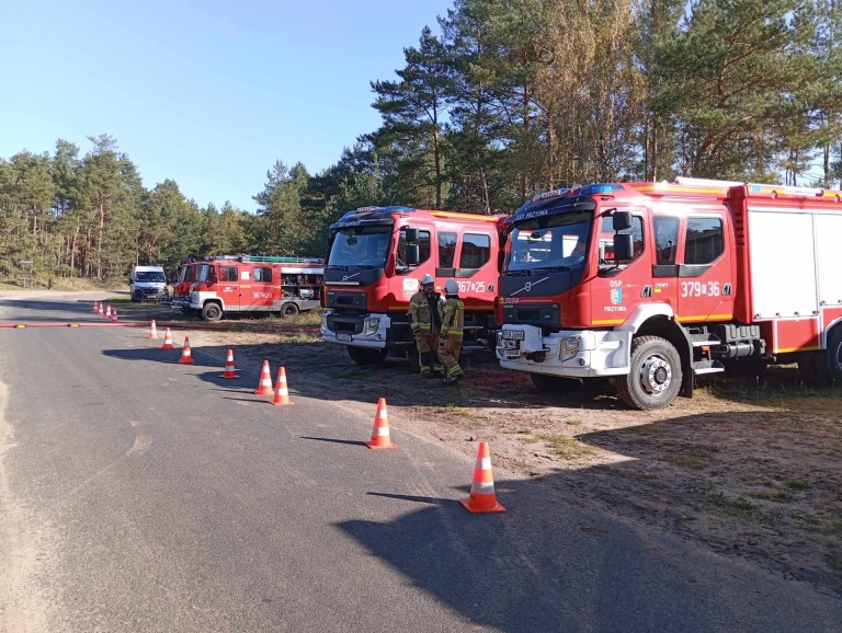 Manewry gminne jednostek osp z gminy Golina 2024
