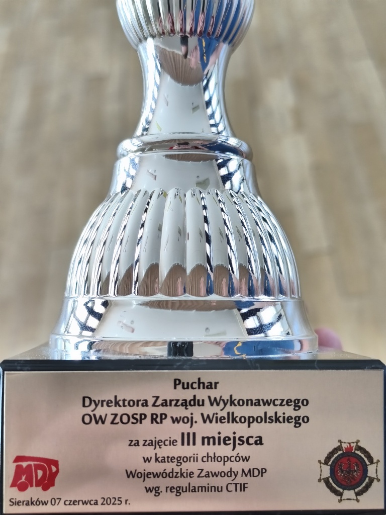 MDP Przyjma z III miejscem na Wojewódzkich Zawodach Sportowo-Pożarniczych MDP według regulaminu CTIF