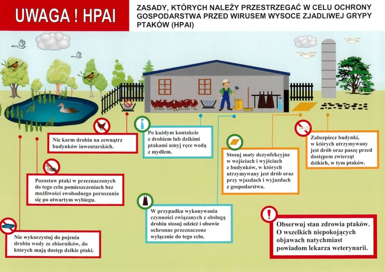 KOMUNIKAT - Uwaga ptasia grypa!