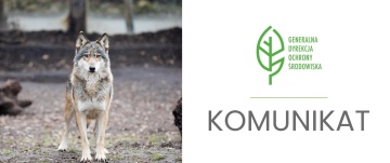 Komunikat dotyczący procedury postępowania człowiek-wilk