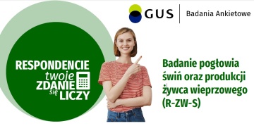 GUS: Badanie pogłowia świń oraz produkcji żywca wieprzowego (R-ZW-S)