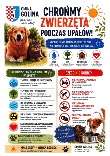 Wysokie temperatury? Pamiętaj o zwierzętach!