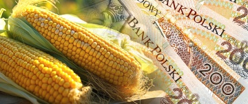 ROLNIKU - Dopłaty do kukurydzy – wnioski do końca lutego!
