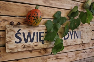 Podsumowanie VIII Festiwalu Dyni i Ziemniaka