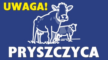 Ulotki informacyjne dotyczącące pryszczycy (FMD) u zwierząt