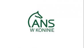 Informator Akademii Nauk Stosowanych w Koninie na rok akademicki 2025/2026